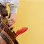 Handyman repair service in Ann Arbor, MI for home fixes and improvements